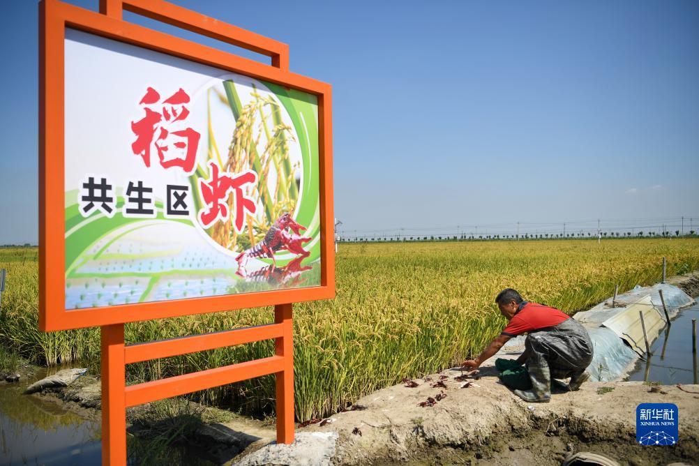 百富策略网